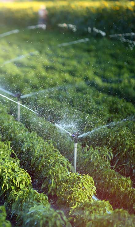 Losey's Lawn & Landscape, Inc. Irrigation System Repair