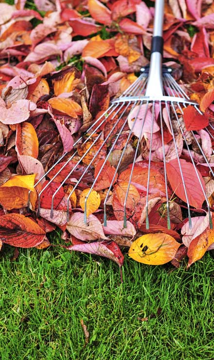 Losey's Lawn & Landscape, Inc. Fall Clean Up